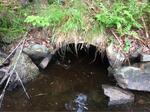 Culvert Crossing, Baring Plt, Maine