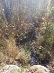 Multiple Culvert Crossing, Trib To Pennamaquan River Reservoir, Charlotte, Maine