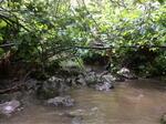 Culvert Crossing, Pembroke, Maine