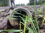 Culvert Crossing, Trib To Eastman Stream, Pembroke, Maine