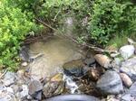 Culvert Crossing, Machias, Maine