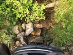 Culvert Crossing, Machias, Maine