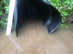 Culvert Crossing, Trib To Hersey Cove, Pembroke, Maine