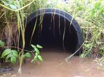Culvert Crossing, Trib To Hersey Cove, Pembroke, Maine