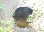 Bridge Crossing, Trescott Twp, Maine