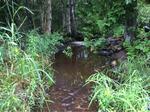 Culvert Crossing, Lubec, Maine
