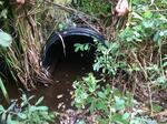 Culvert Crossing, Lubec, Maine