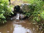 Culvert Crossing, Lubec, Maine