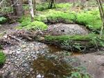 Culvert Crossing, Jonesboro, Maine