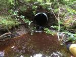 Culvert Crossing, Jonesboro, Maine