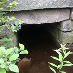 Culvert Crossing, Jonesport, Maine