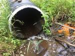 Culvert Crossing, Eastport, Maine