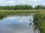 Culvert Crossing, Chandler Brook, Pembroke, Maine