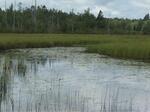 Culvert Crossing, Chandler Brook, Pembroke, Maine