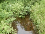 Culvert Crossing, Pembroke, Maine