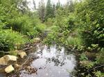 Multiple Culvert Crossing, Elmere Brook, Jonesboro, Maine