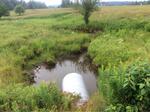 Culvert Crossing, Trib To Pennamaquan River, Pembroke, Maine