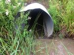 Culvert Crossing, Trib To Pennamaquan River, Pembroke, Maine