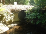 Culvert Crossing, Trib To Pennamaquan River, Pembroke, Maine