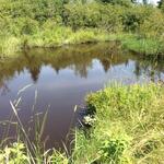 Culvert Crossing, Mays, Lubec, Maine
