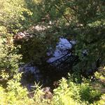 Culvert Crossing, Mays Brook, Lubec, Maine