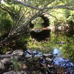 Culvert Crossing, Mays Brook, Lubec, Maine