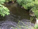 Culvert Crossing, Baring Plt, Maine
