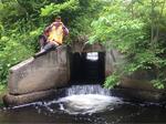 Culvert Crossing, Baring Plt, Maine
