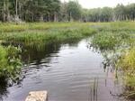 Culvert Crossing, Baring Plt, Maine