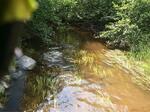 Culvert Crossing, Trib To Little Kennebec Bay, Machias, Maine