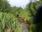 Culvert Crossing, Trib To Little Kennebec Bay, Machias, Maine