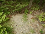 Multiple Culvert Crossing, Trib To Little Kennebec Bay, Machias, Maine