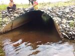 Culvert Crossing, Trib To Little Kennebec Bay, Machias, Maine