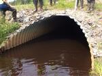 Culvert Crossing, Trib To Little Kennebec Bay, Machias, Maine
