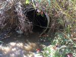 Culvert Crossing, Trib To Pennamaquan River, Pembroke, Maine