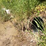 Multiple Culvert Crossing, Lubec, Maine