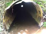 Culvert Crossing, Eastport, Maine