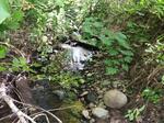 Culvert Crossing, Eastport, Maine