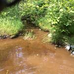 Culvert Crossing, Roque Bluffs, Maine