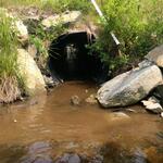 Culvert Crossing, Roque Bluffs, Maine