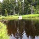 Culvert Crossing, Roque Bluffs, Maine