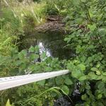 Culvert Crossing, Venture Brook, Cathance Twp, Maine