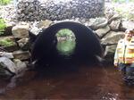 Culvert Crossing, Charlotte, Maine