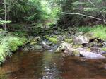 Culvert Crossing, Charlotte, Maine