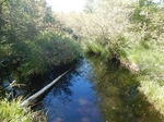 Culvert Crossing, Pembroke, Maine