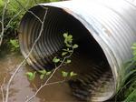 Culvert Crossing, Meadow Brook, Dennysville, Maine