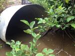 Culvert Crossing, Meadow Brook, Dennysville, Maine