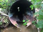 Culvert Crossing, Edmunds Twp, Maine
