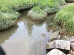 Culvert Crossing, Jonesboro, Maine