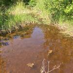 Multiple Culvert Crossing, Lubec, Maine
